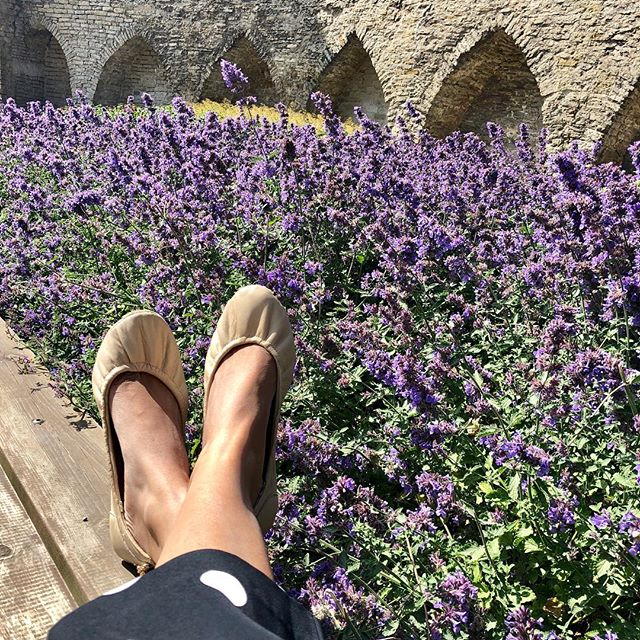 Summer lovin- Of lavender fields and wooden planks! #tandncollection #nycstyle #lastyle #citygirl #citystyle #citylife #balletflats #shoes #monogram #monogrammed #bostonblog #fashionblogger #miamiblog #chicagostyle #chicagoblogger #texasfashion #lablogger #panhellenic #christmas #balletflats #ballerina #miamiblogger #fblogger #silver #londonfashion #fashionista #mommytobe #fashion #dance #fashionblog #travelblogger