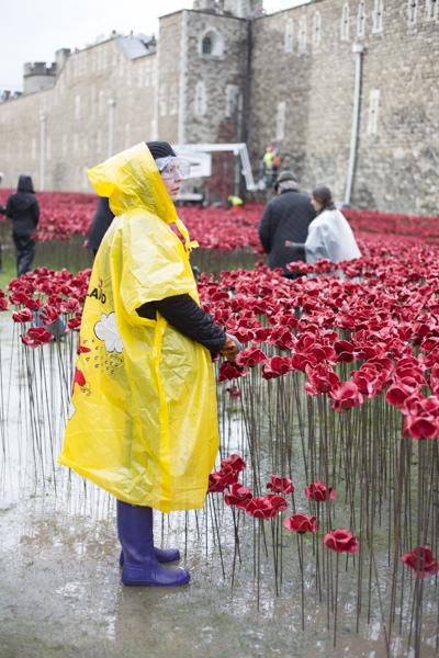 Poppies14 (1 of 39).jpg