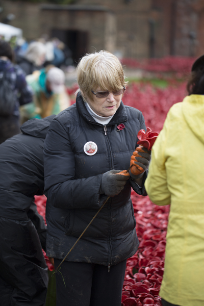 Poppies14 (18 of 39).jpg