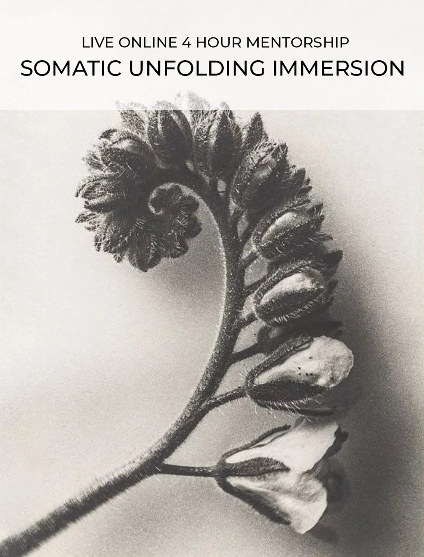 MODULE 3: INTEGRATION & SELF-REGULATION