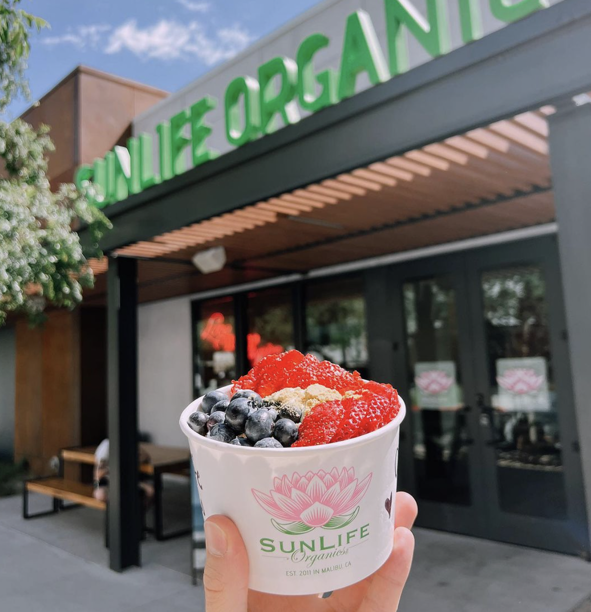 <p><strong>Sunlife Organics</strong><i>→</i></p>