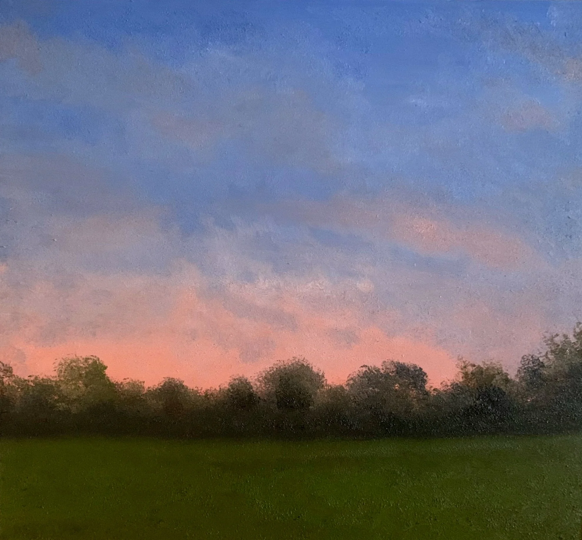  Sans Titre, Huile sur Bois, 50 x 70 cm 