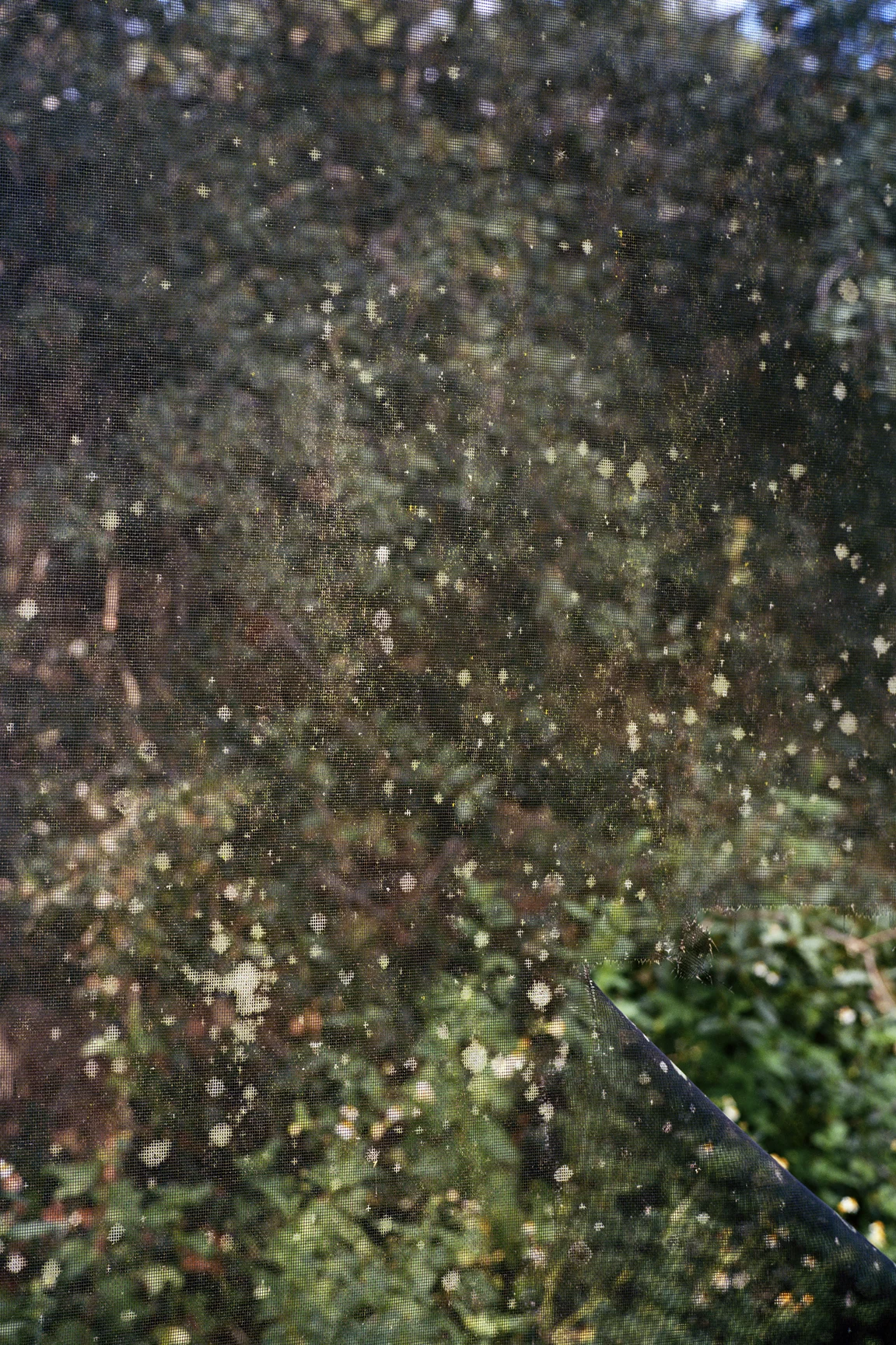VictorRivera_Image4_Screen.jpg