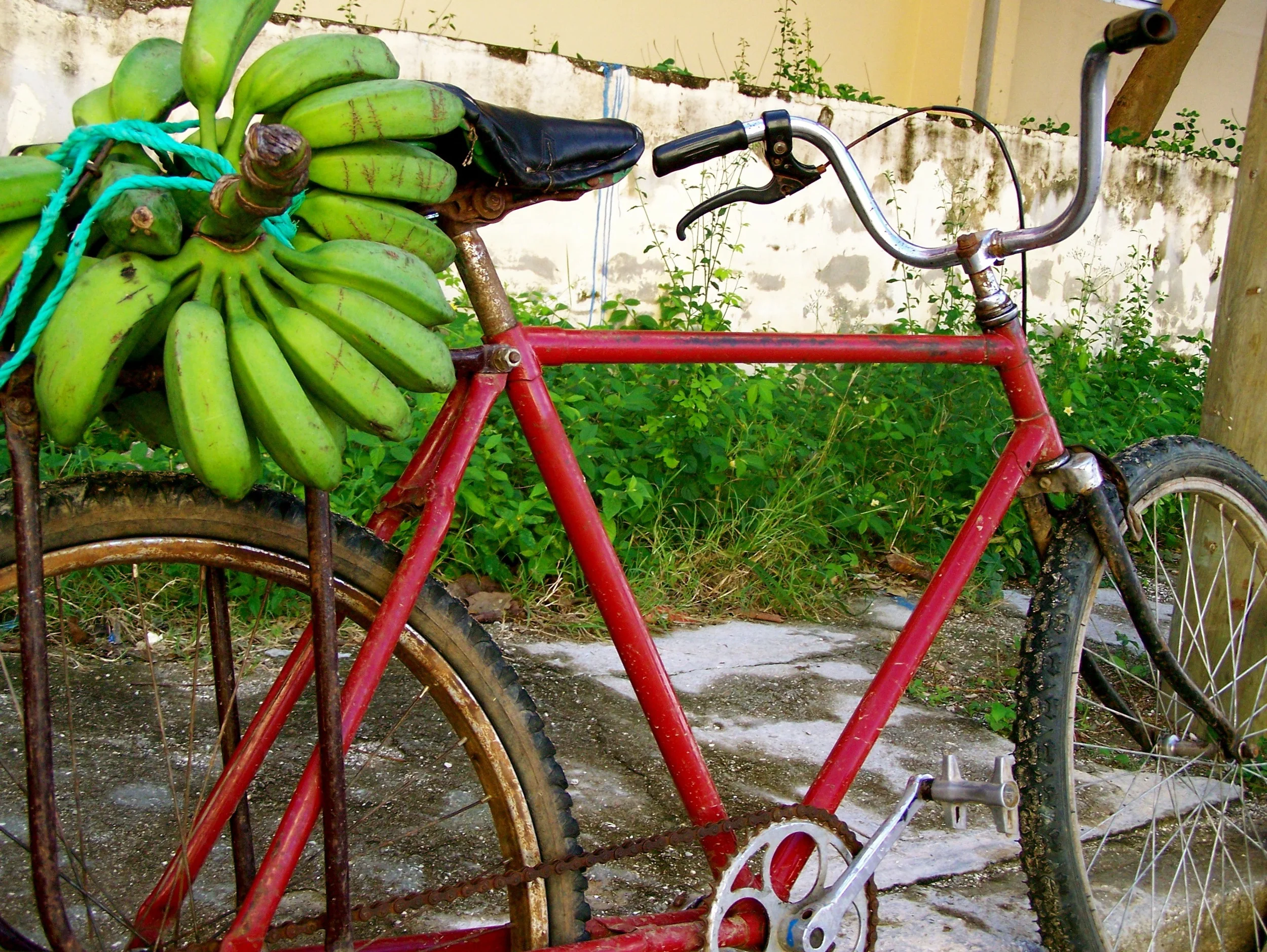 Cubananas