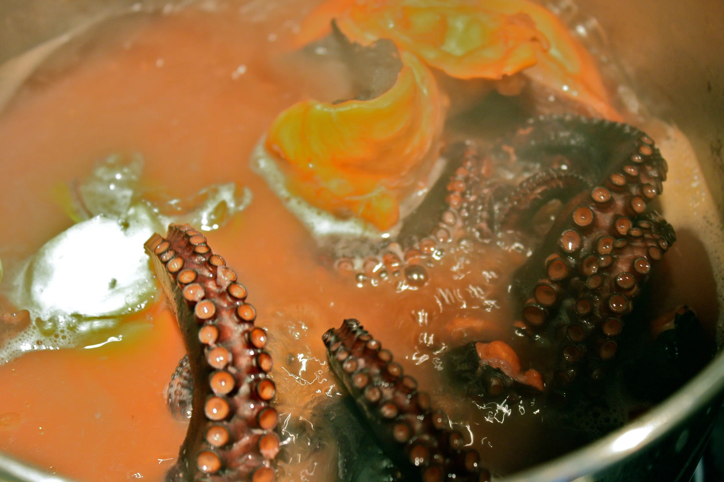 Braising octopus