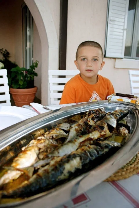 Holy Mackerel!