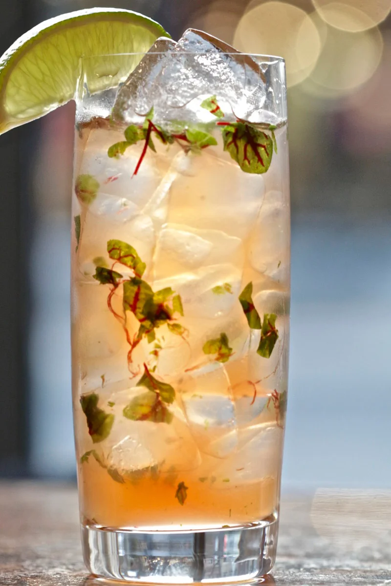 borealia-toronto-restaurant-14.jpg