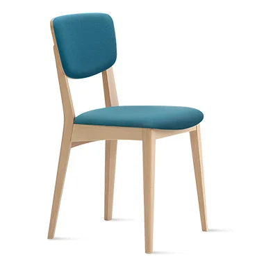 cantarutti anja chair with upholstered back panel.jpg