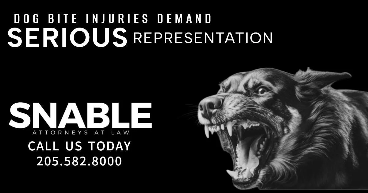 A dog attack can lead to severe physical harm, emotional distress, and significant financial loss. At Snable Law, we understand the complexities of these cases and the lasting impact they have on victims. Our team is committed to pursuing full accoun