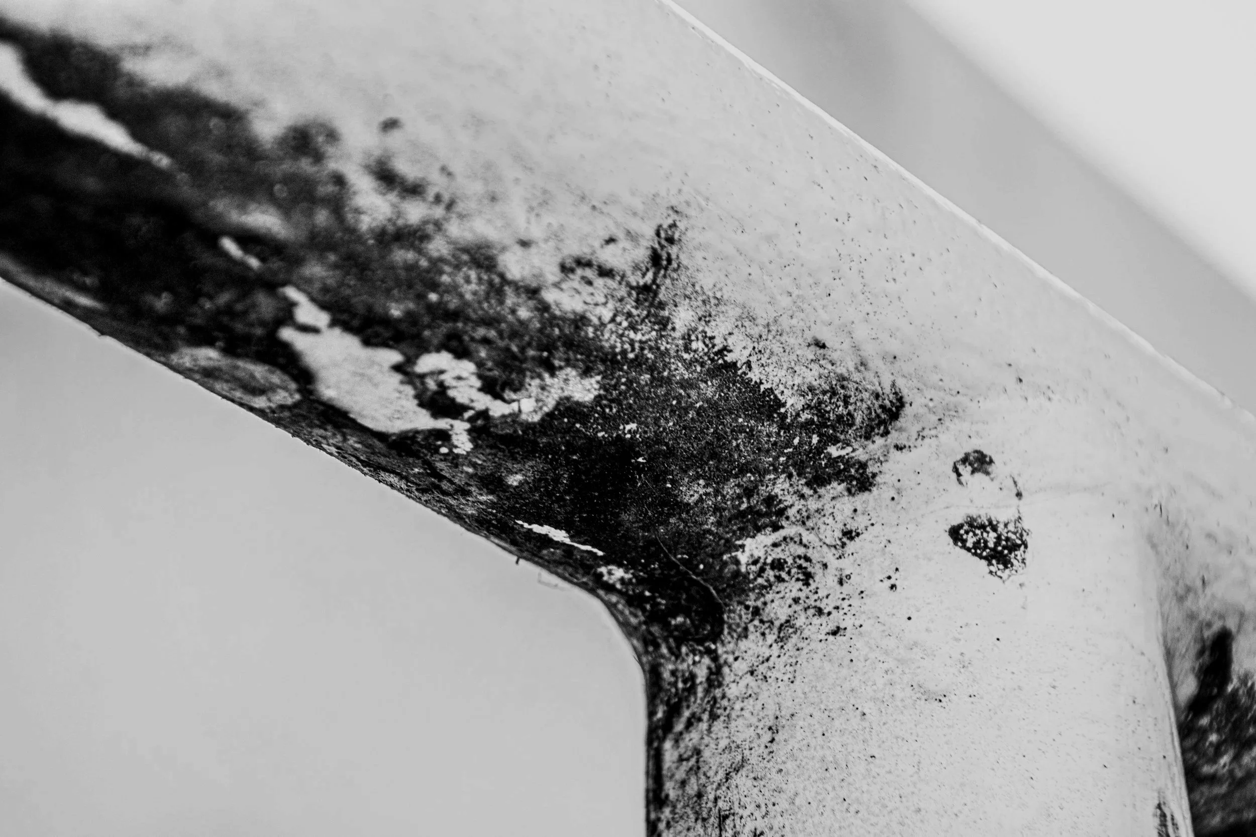 A photo showing toxic mold on a door frame