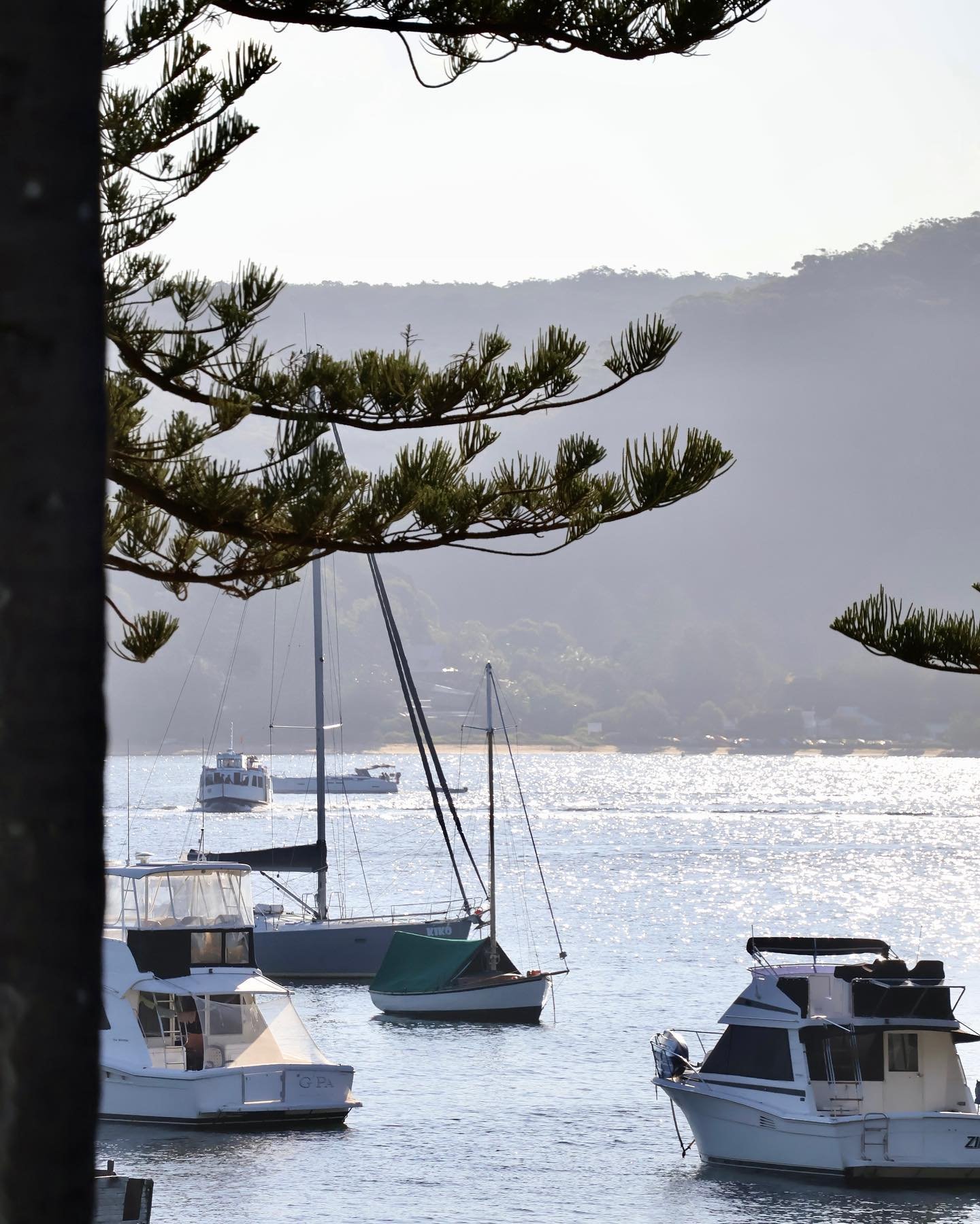 The little Boathouse ferry through the trees from Barrenjoey House. If you&rsquo;re looking for a school holiday activity, jump aboard with the family (and the dog!) to visit Patonga for the day. ☀️