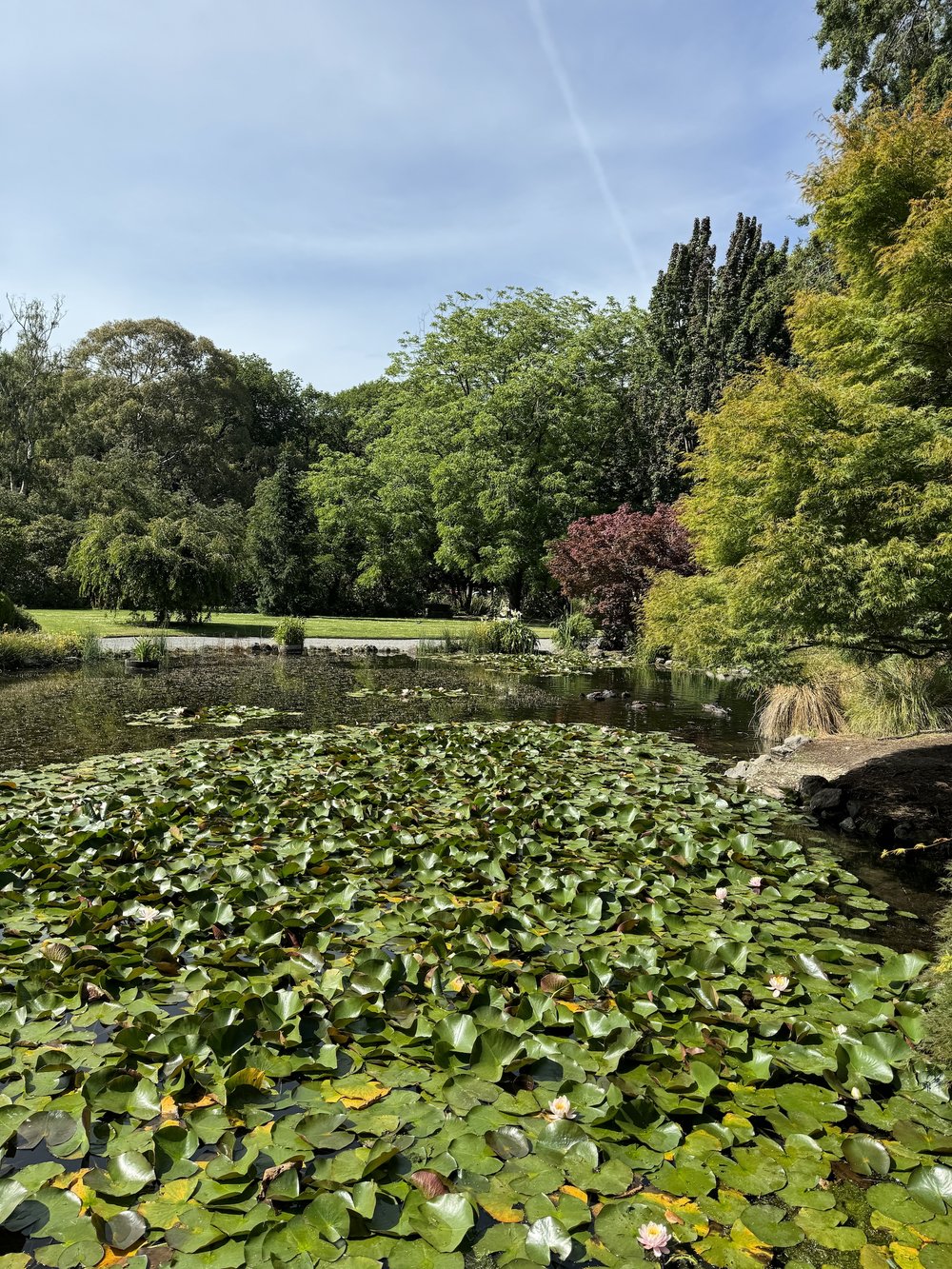 explore Christchurch - 12 Days in New Zealand