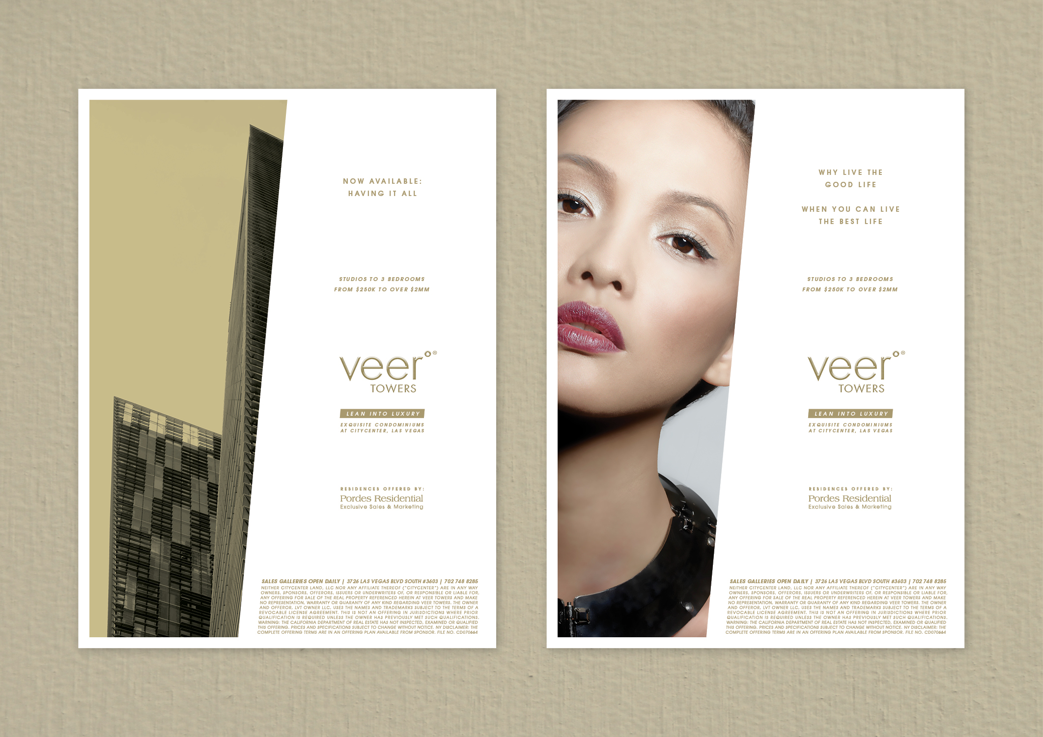 VEER_SLIDES5.jpg