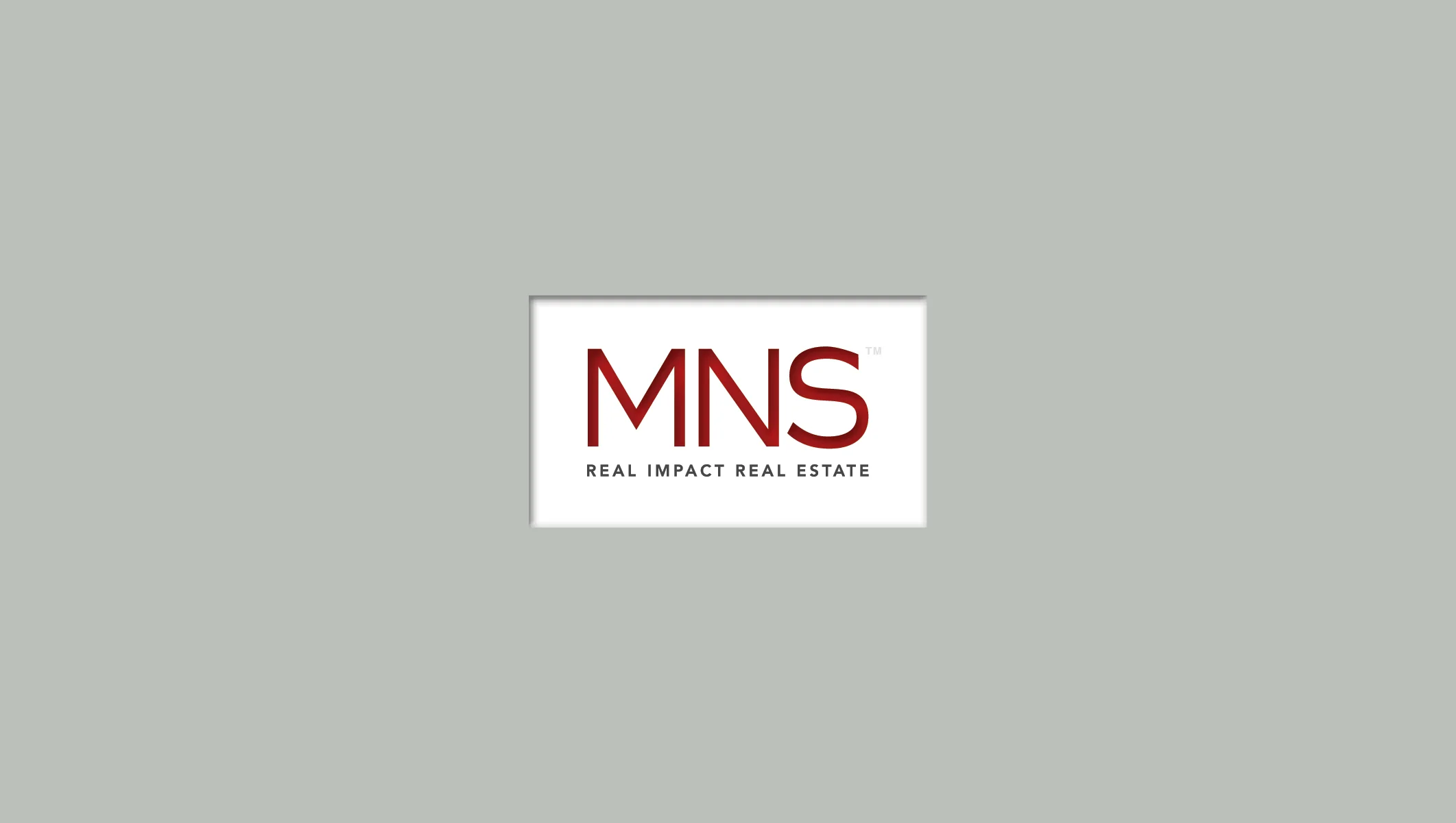 MNS_SLIDES5.jpg
