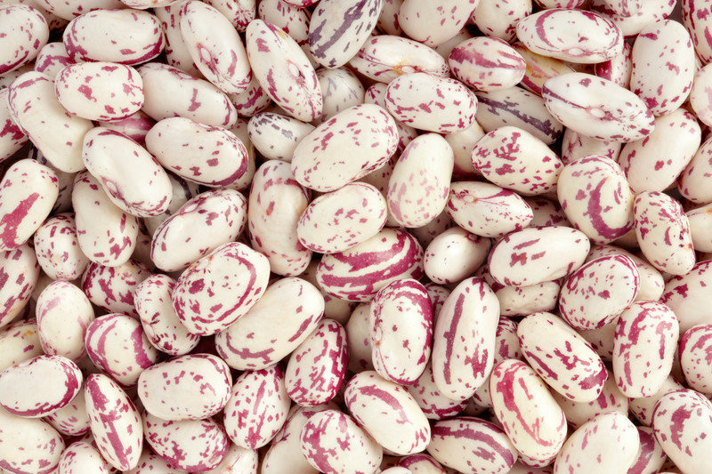Cranberry Beans