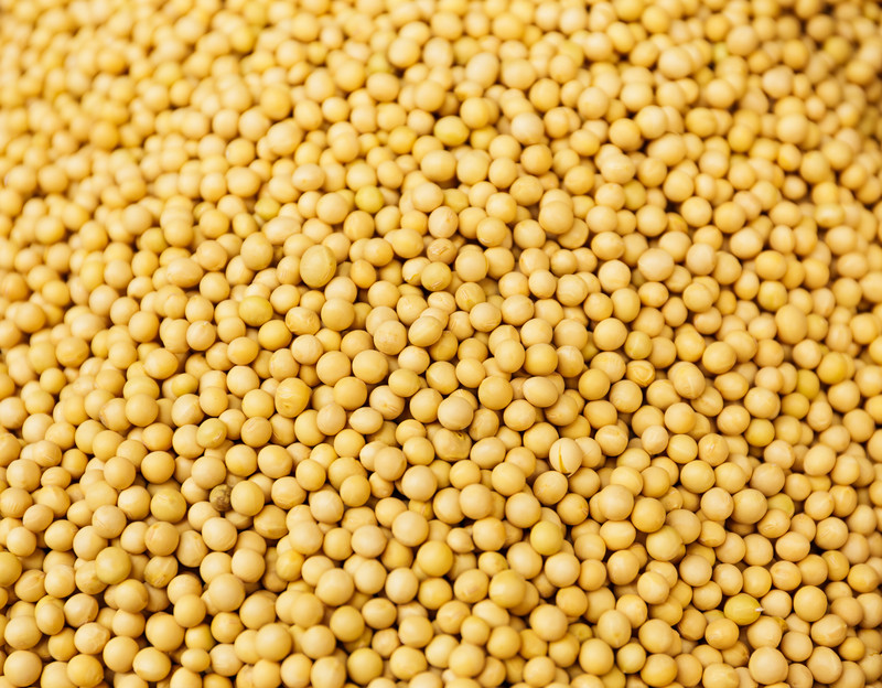Mustard