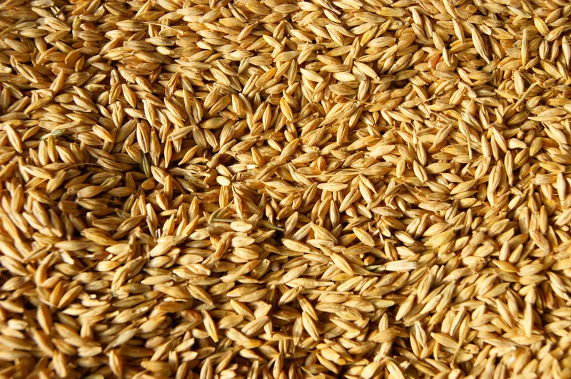 canstockphoto16292127.jpg