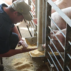 Animal Food Safety Course - 250.jpg