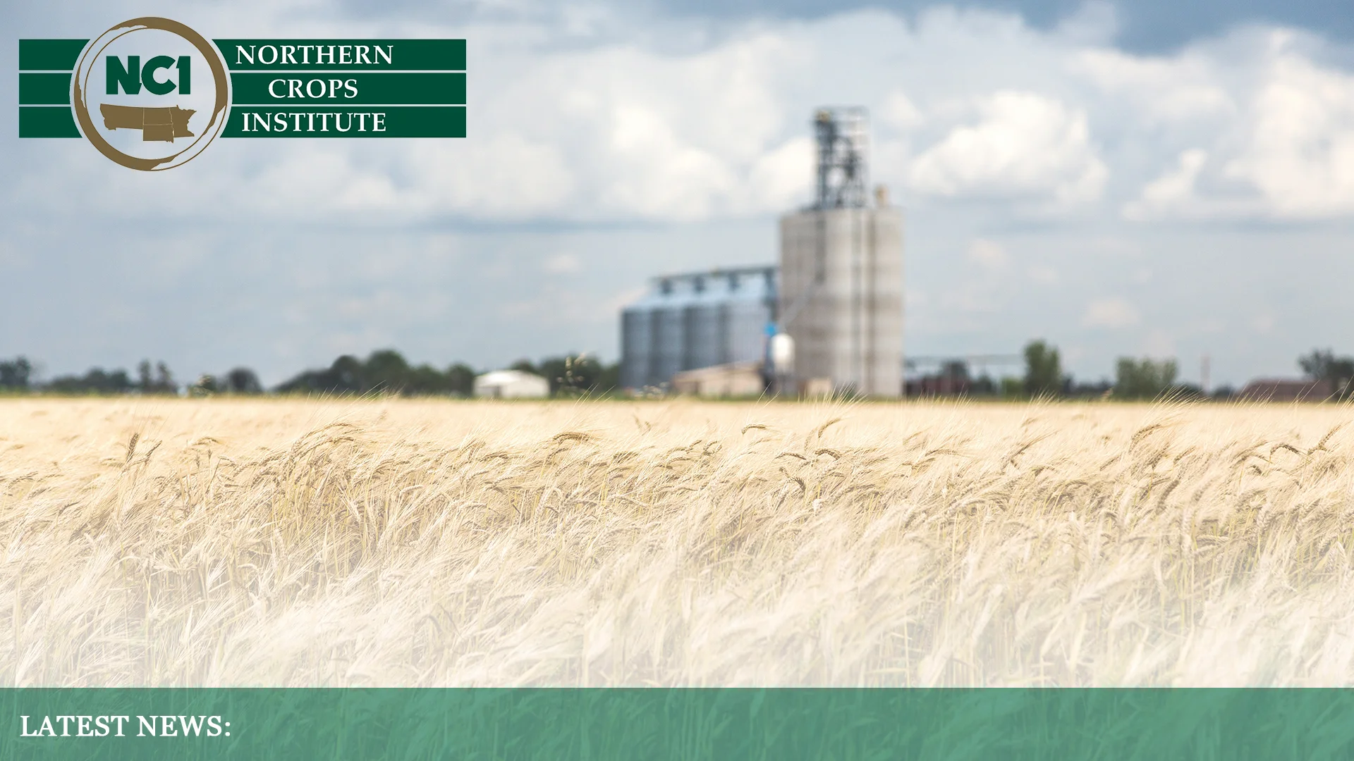 Wheat Field and Elevator Faded Background.jpg