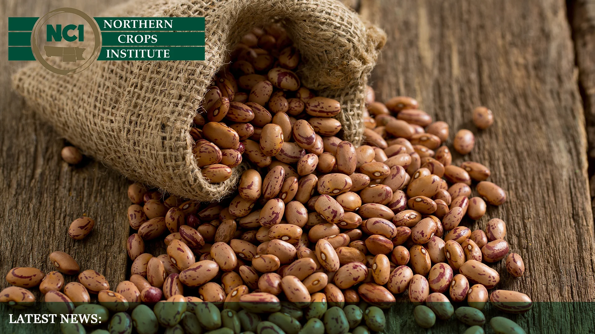 US Dry Bean Display Background.jpg