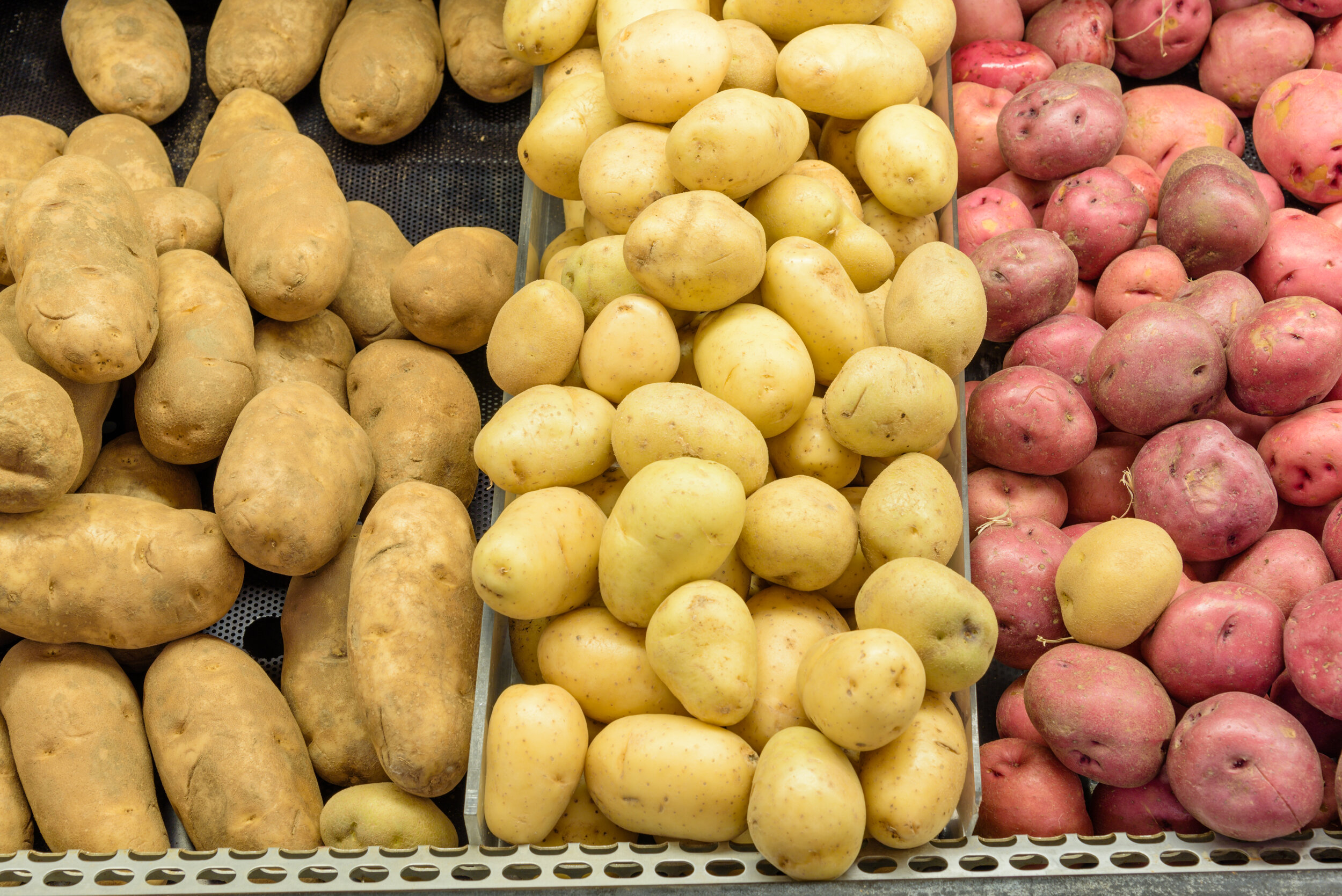 Exploring the Crops of the Northern Region-Potatoes — Northern Crops  Institute