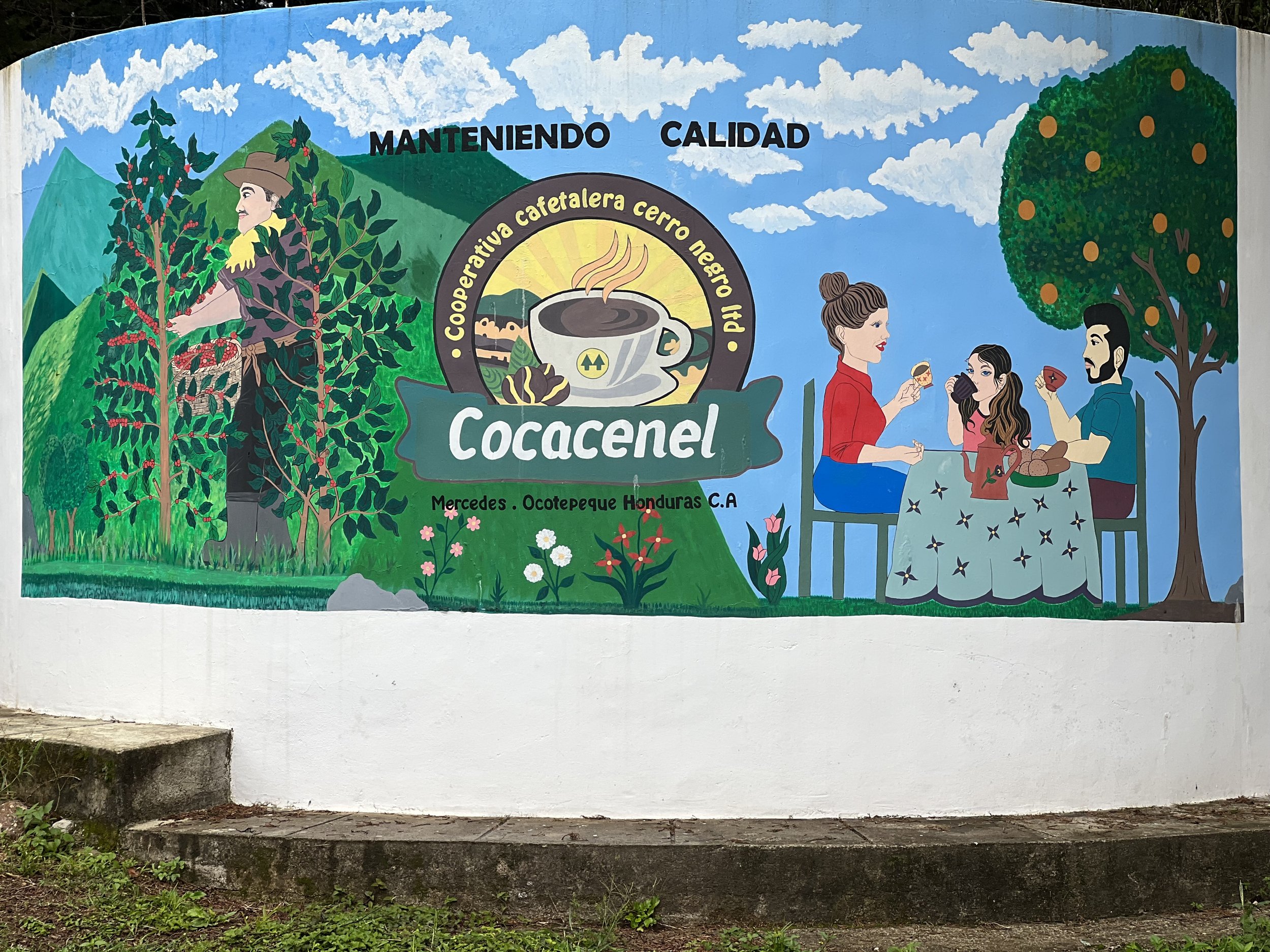 Honduran Coffee Cooperative Volunteer Mission