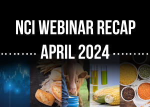 NCI Webinar Recap | April 2024