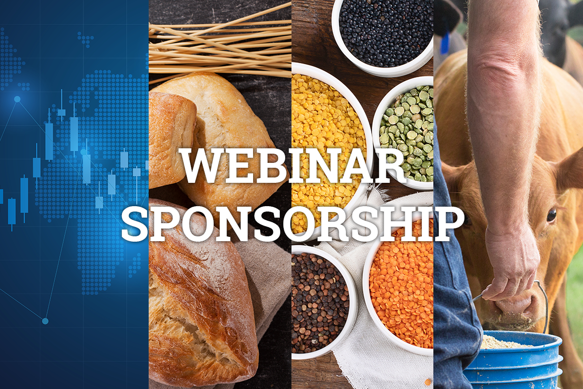 Webinar Sponsorship