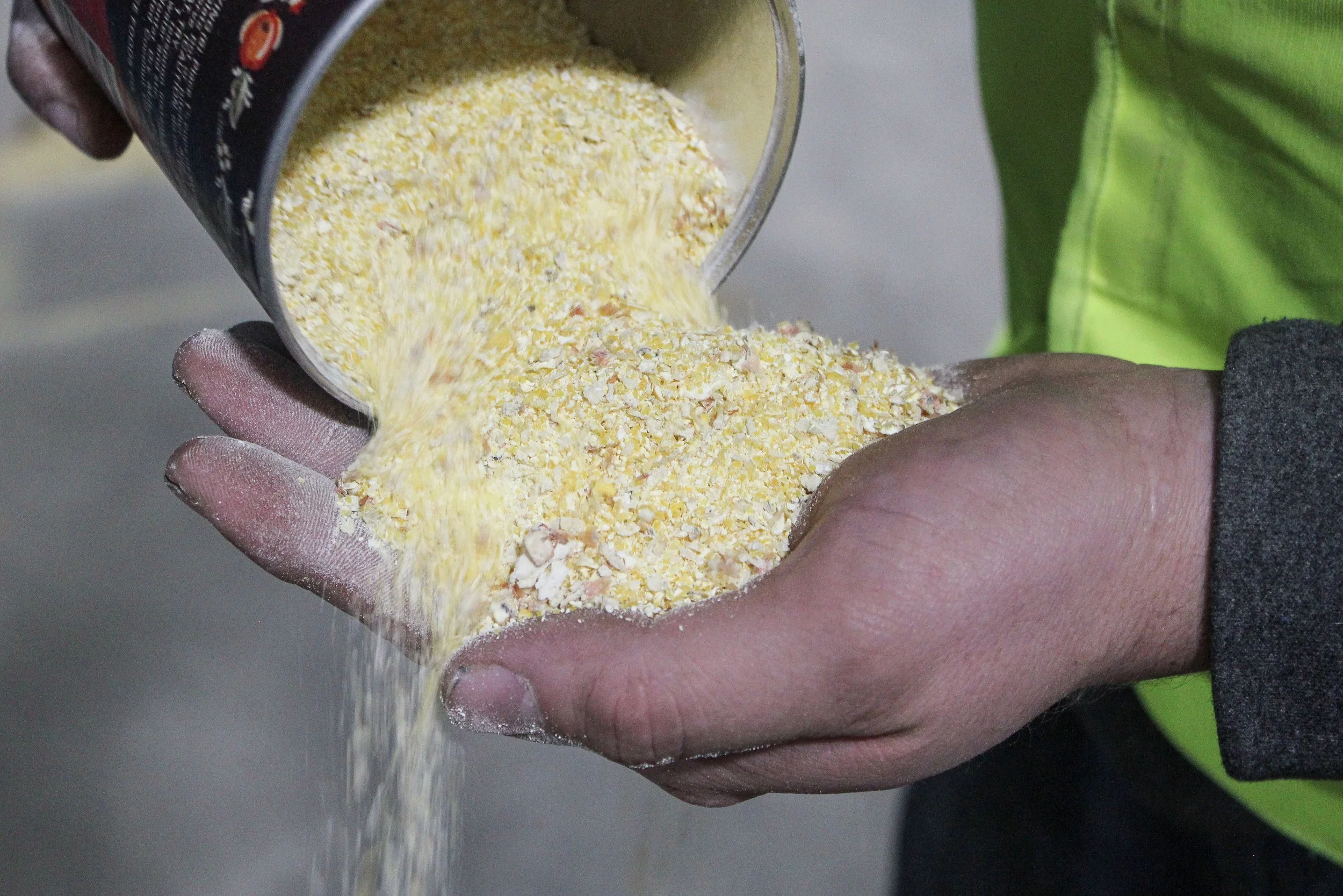 Corn Meal_Edited.jpg