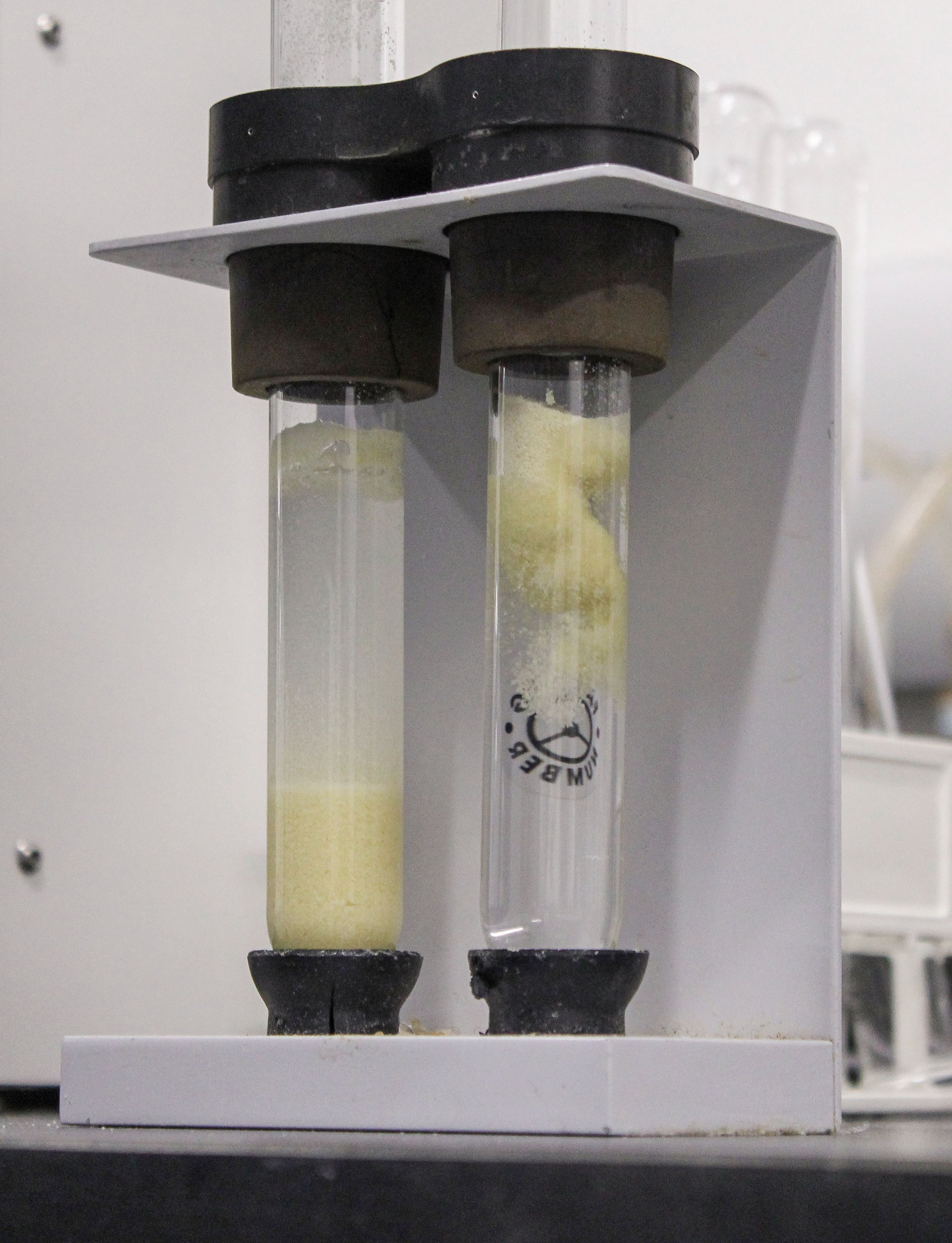 Falling Number Sample(1)_Edited.jpg