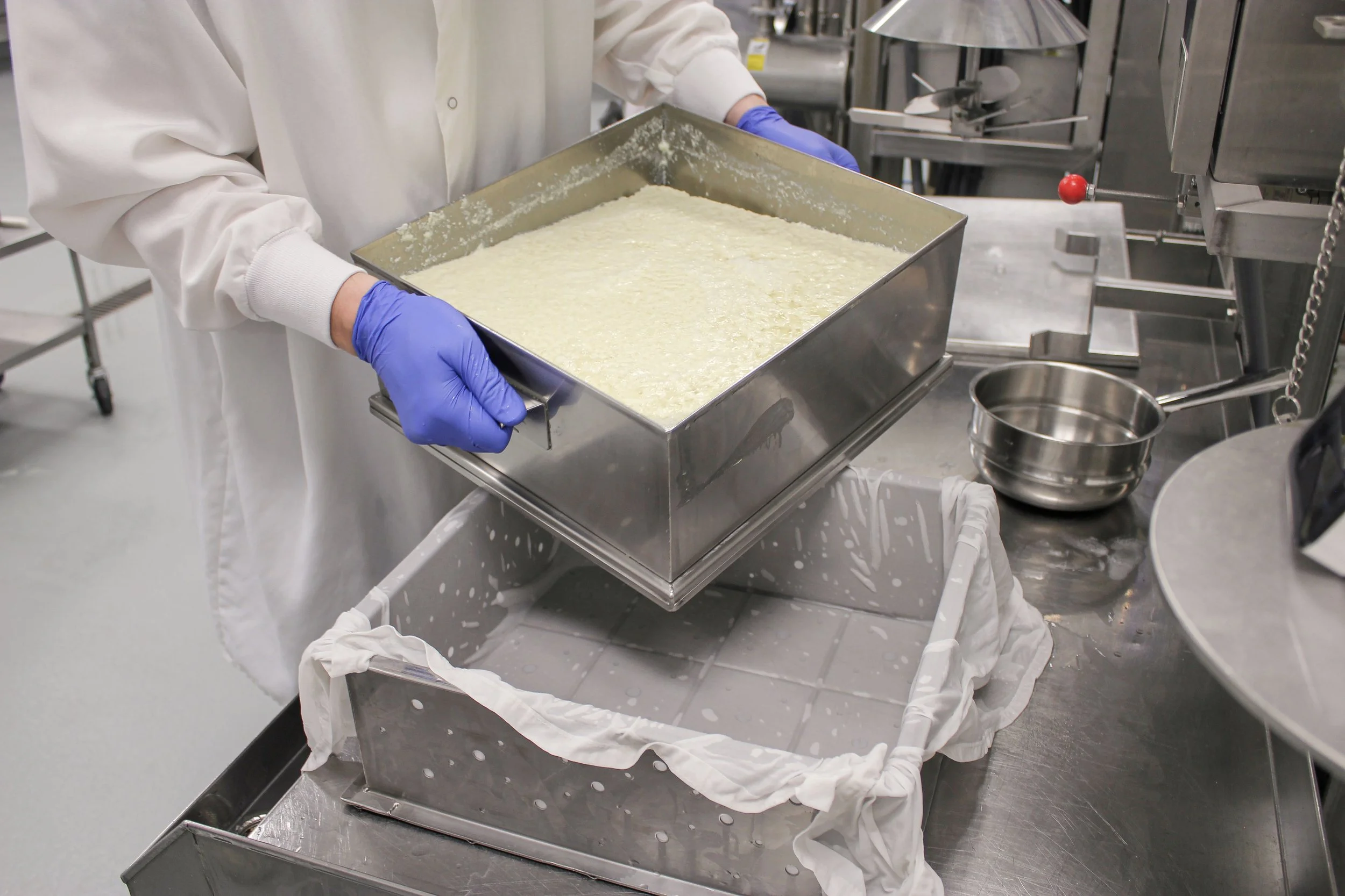 Tofu Process_Edited.jpg