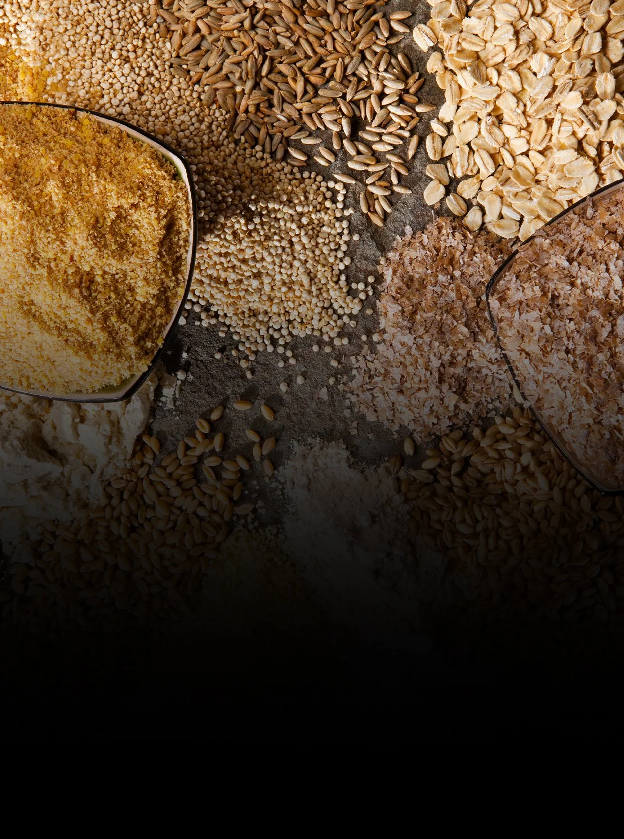 Specialty Grains Conference
