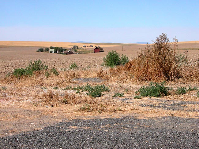 US 2 at Highway 72, WA, August 2, 2004