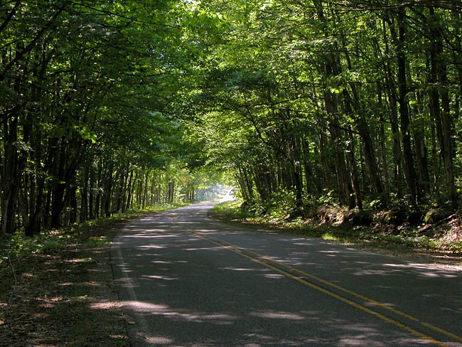 S. Salt Point Rd., MI, September 3, 2004