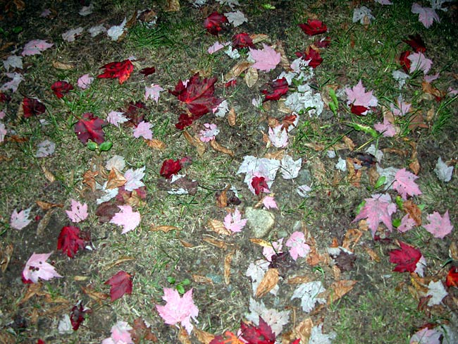 Adirondack Park, NY, September 14, 2004