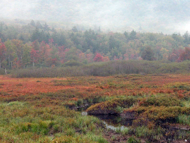 Highway 10, Adirondack Park, NY, September 16, 2004