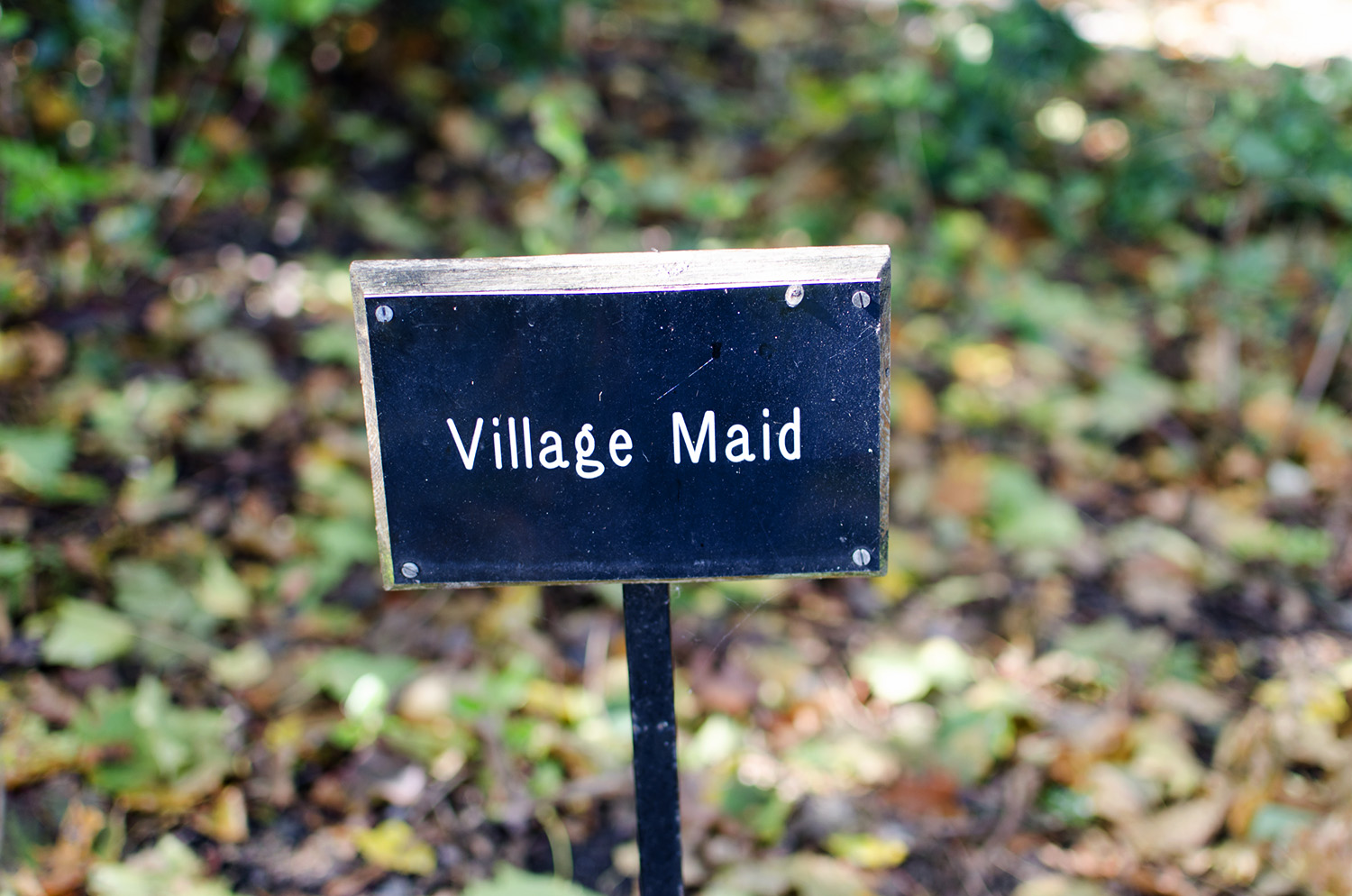  Queen Mary’s Garden, The Regent’s Park 