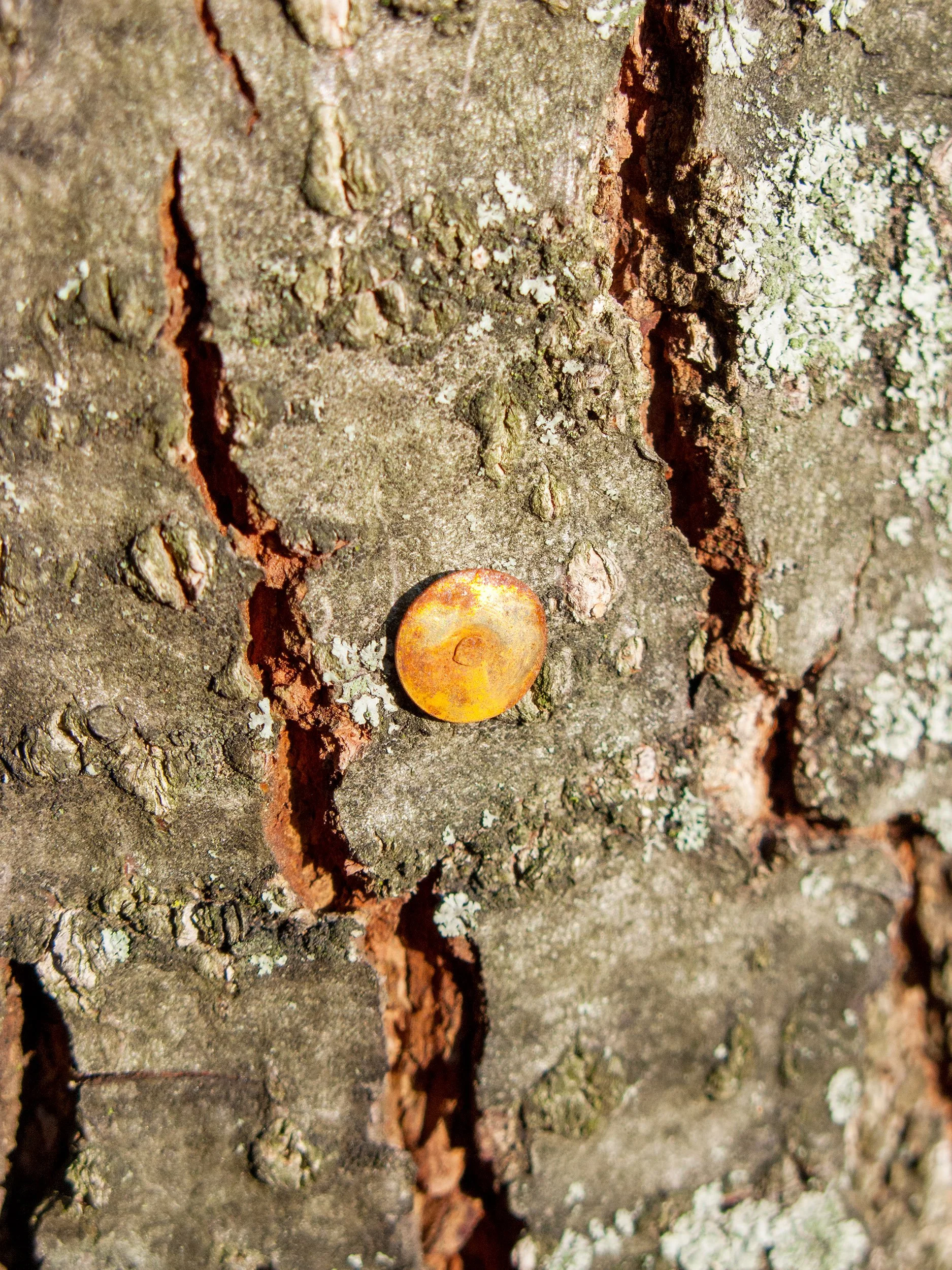  From the series  Bric-a-brac  