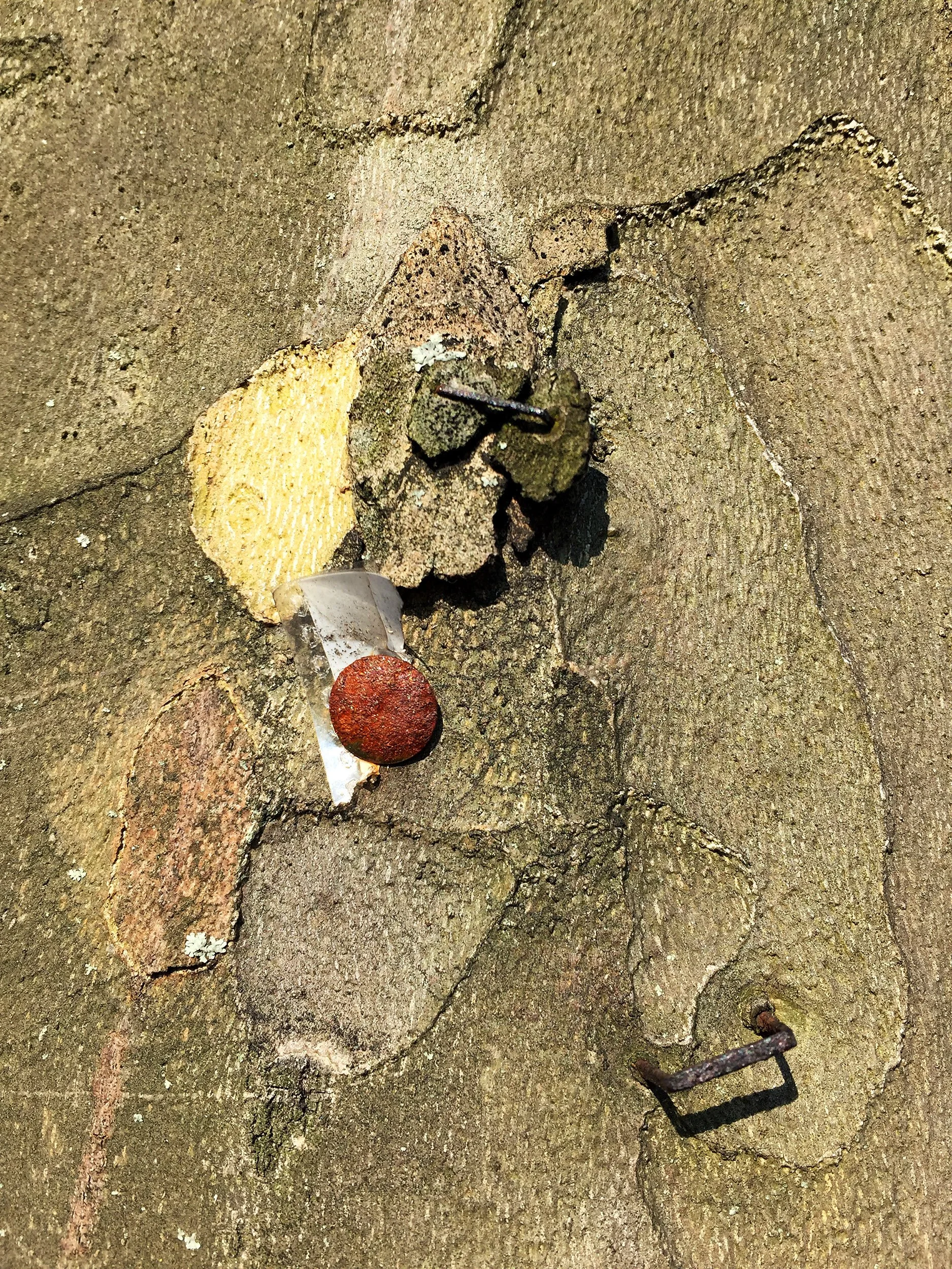  From the series  Bric-a-brac  