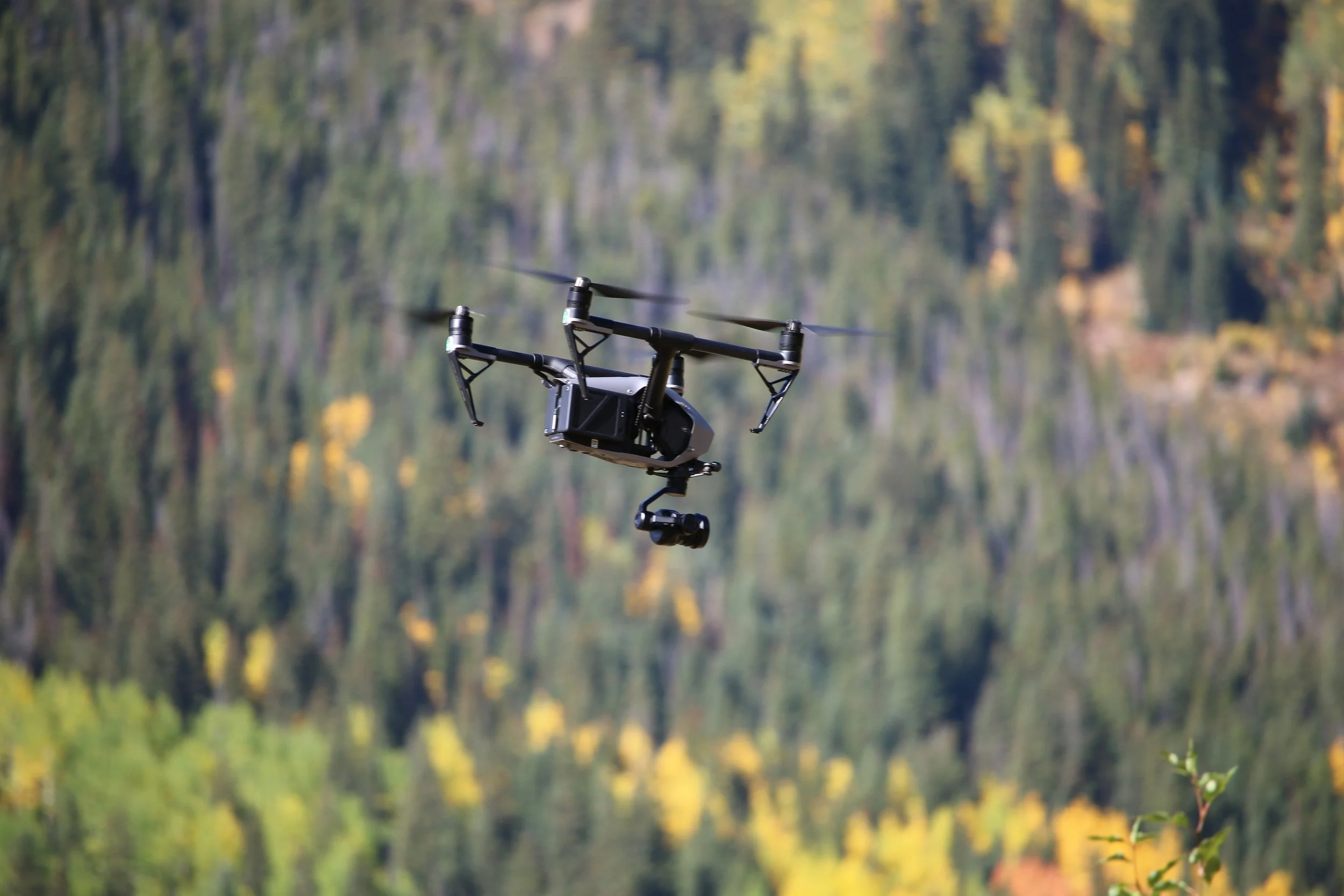 Drone Still.JPG