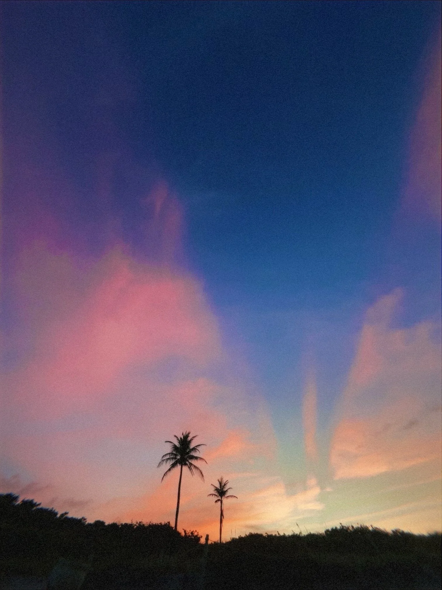 01J0YNMK5ZB71YB9N3Y5B45KJE-low-res-branded- 2.JPEG