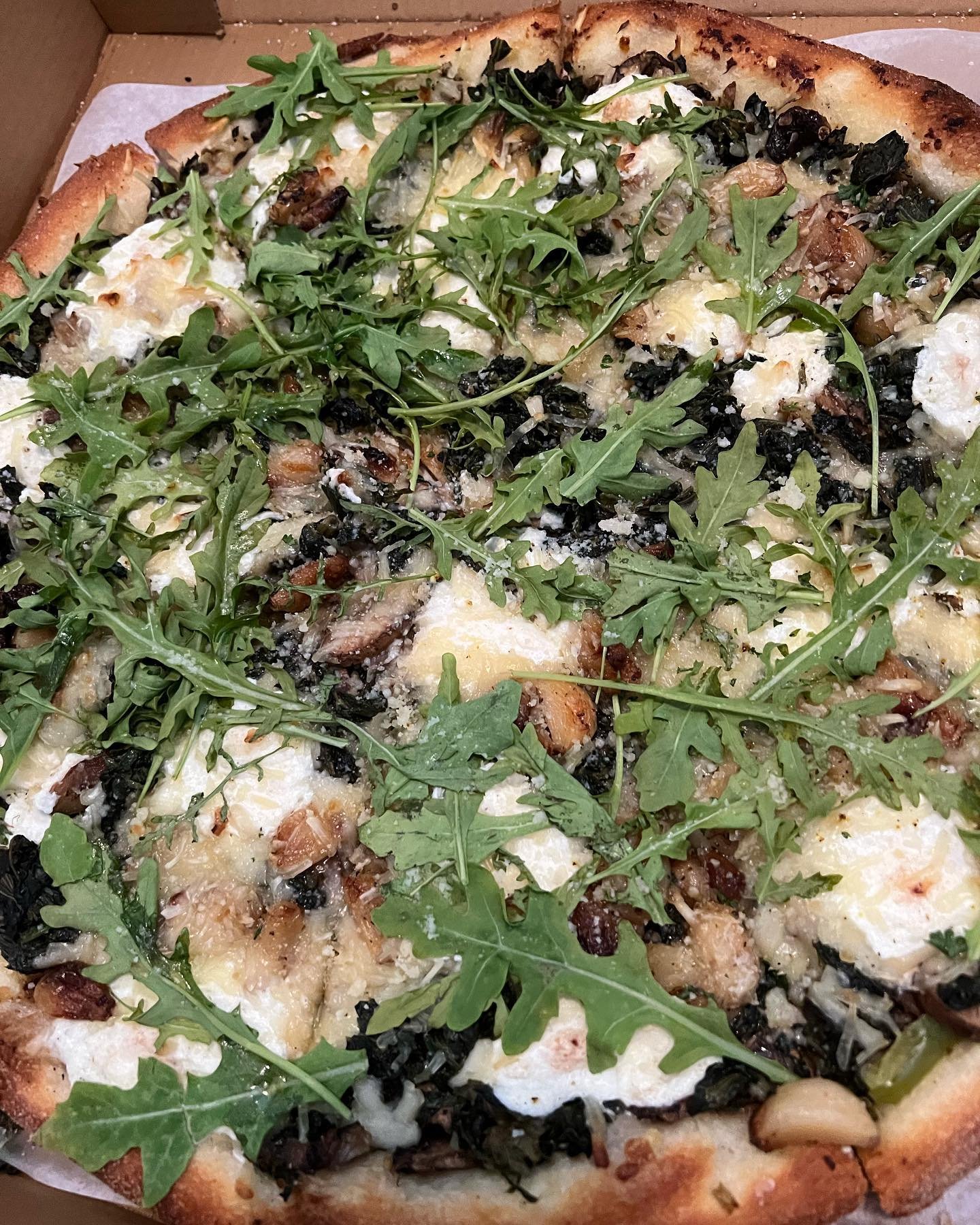 First meal back in South Florida had to be @vannucchi_brothers! Vegan white pizza with a side of garlic rolls 😍 we had to head to the ER after eating a slice for infected cat bites 😅 Vannucchi&rsquo;s is my favorite pizza spot ever, and totally wor