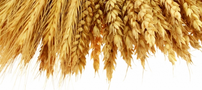 Fibre is a must - both soluble and insoluble