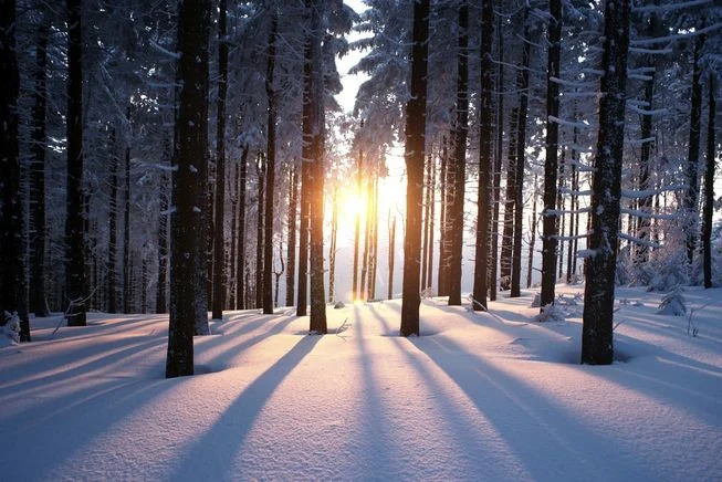 Winter stillness