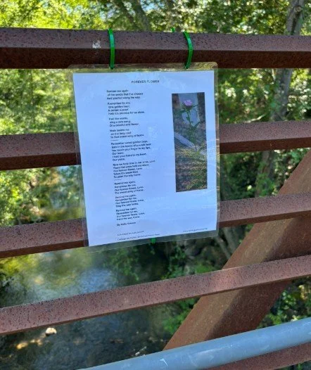 Screenshot 2026-04-14 123846.jpg