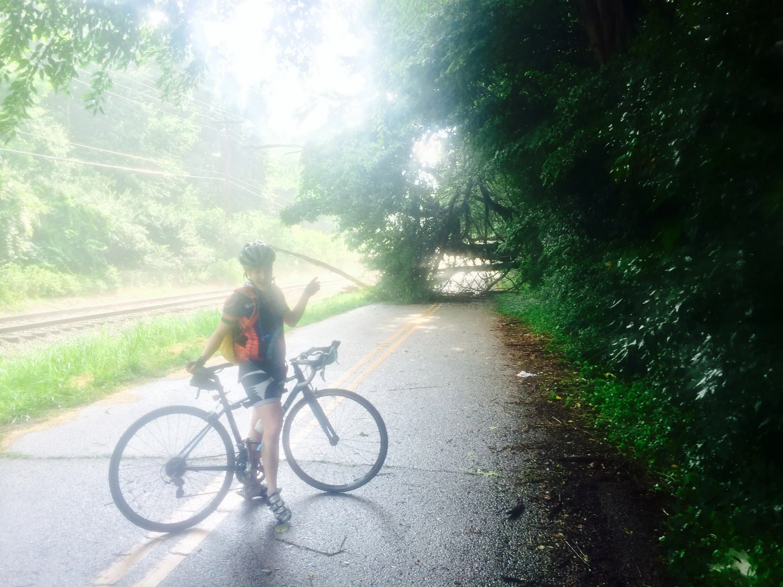 A small detour in our road