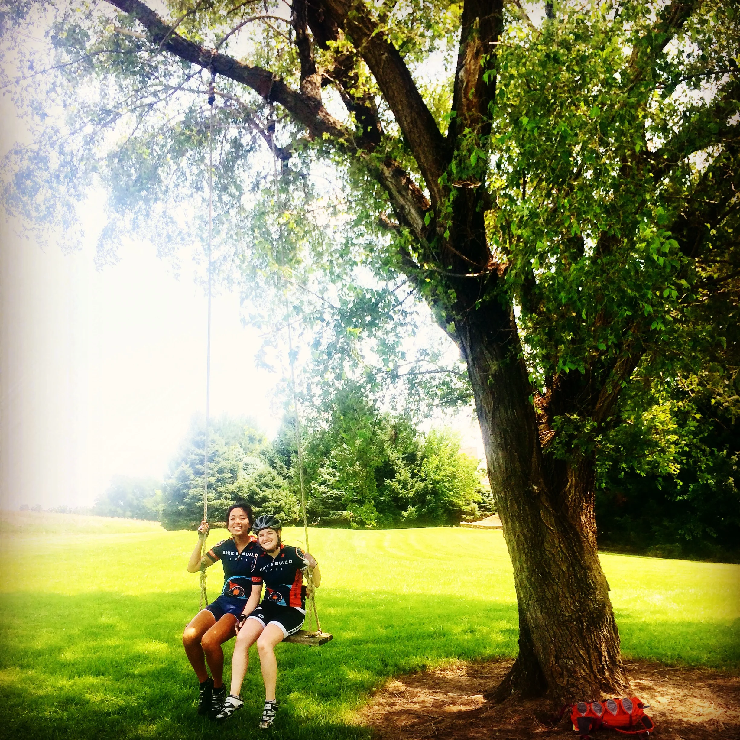 A beautiful rope swing on the side of the road