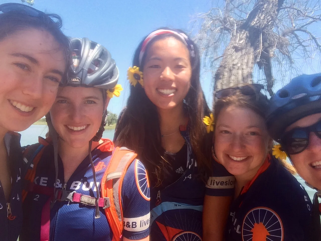 Colorado has these beautiful sunflowers along the sides of the highway. Most of the girls end up with flowers in their hair every day!