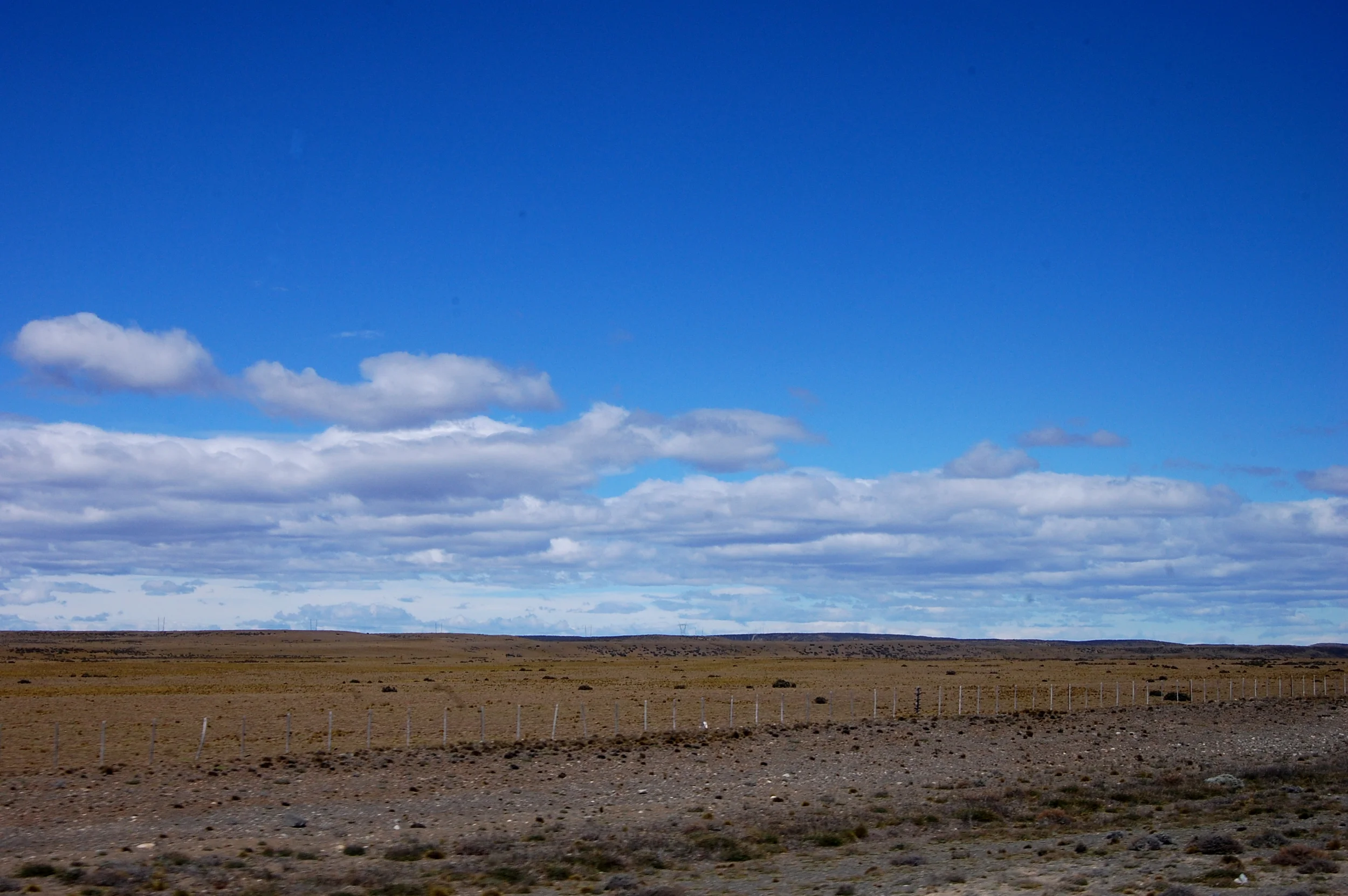 DSC_1232.jpg