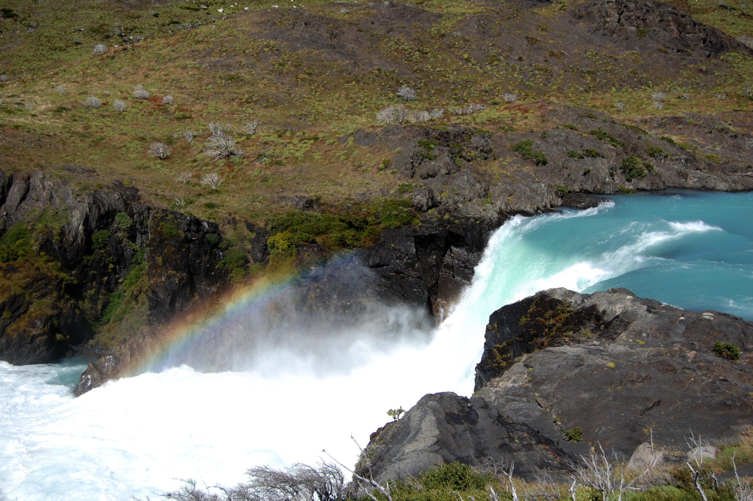 DSC_1271.jpg
